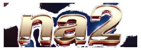 na2 logo